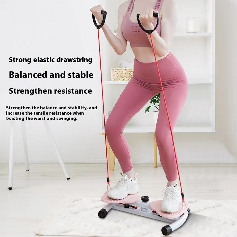 Waist Twist Machine Fitness Equipment